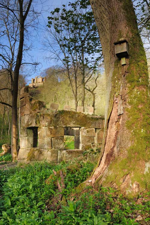 Rustic Temple and the Banqueting House