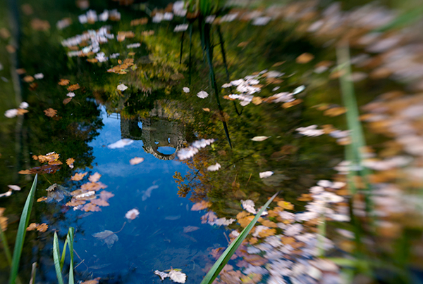 The Banqueting House reflected in Fountain pond