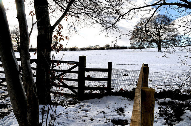 Gate at Mowbray Point