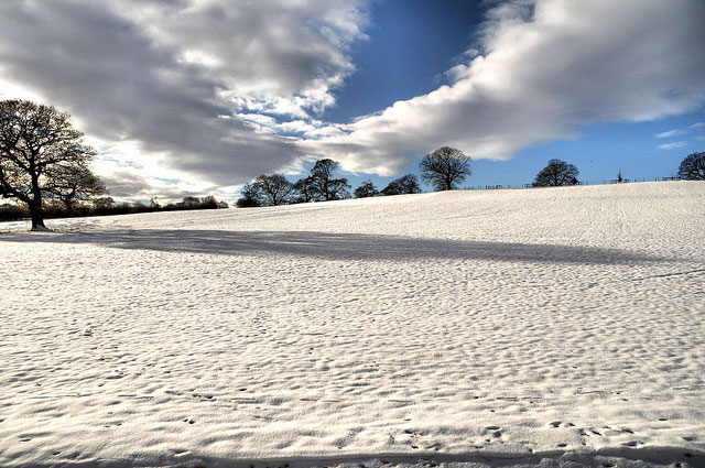 Snow field from the Banqueting House