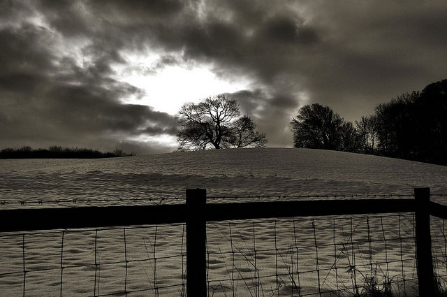 Black and white snow field