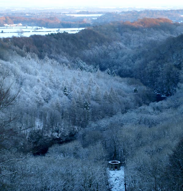 Winter panorama