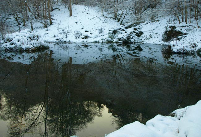 Reflected in Fountain pond