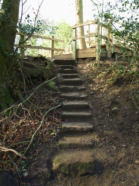 Renovated steps