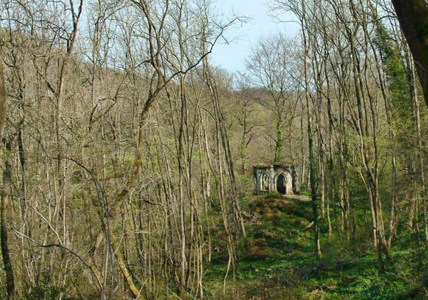 Fishers Hall stands out in a clearing