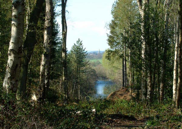 Towards Masham Church