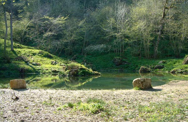 Fountain Pond 2009